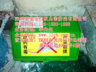 坪山專業(yè)除蟲滅鼠、白蟻防治