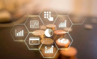 你是 互聯(lián)網大咖 裝修專家 or 時尚辣媽 在深圳就能綻放創(chuàng)業(yè)之花